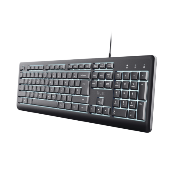 Tastatura Trust Primo Beleuchtete, USB, gri, EN US