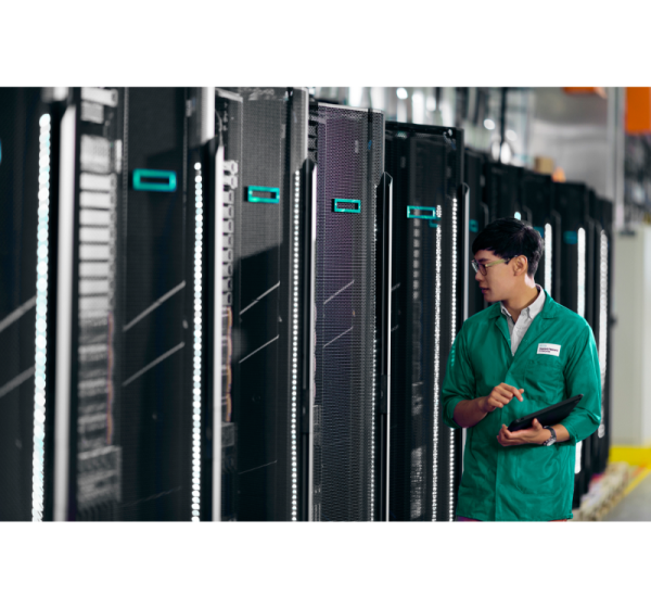 HPE ProLiant DL20 Gen11 NS204i-u Hot Plug Boot Optimized Storage