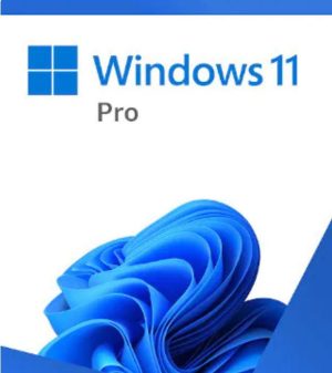 Licenta retail Microsoft Windows 11 Pro 32-bit/64-bit Electronic Software Download