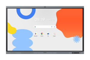 Display: Diagonal Size 65", Panel Type IPS, Resolution 3,840 x
