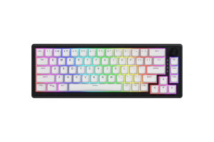 Tastatura Mecanica Gaming HATOR Skyfall Wireless 65, RGB, Wireless, Alb-Negru