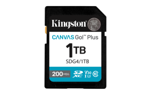 Card de Memorie SD Kingston Canvas GO Plus CL 10