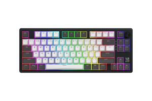 Tastatura Mecanica Gaming HATOR Skyfall Pro Wireless 80, RGB, Wireless,