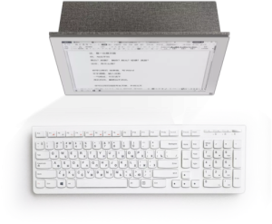 Monitor Consumer BOOX Mira, 13.3", 1650 x 2200 pixeli, Touchscreen,