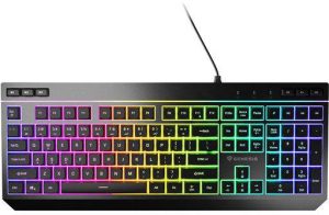 Tastatura Gaming Genesis Rhod 530, RGB, USB, Negru
