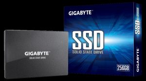 SSD intern GIGABYTE GP-GSTFS31256GTND, 256 GB, SATA, 2.5 inch