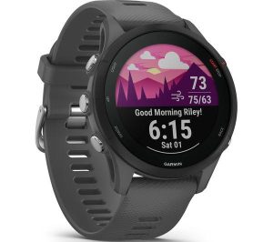 Smartwatch Garmin Forerunner 255, 46mm, Grey